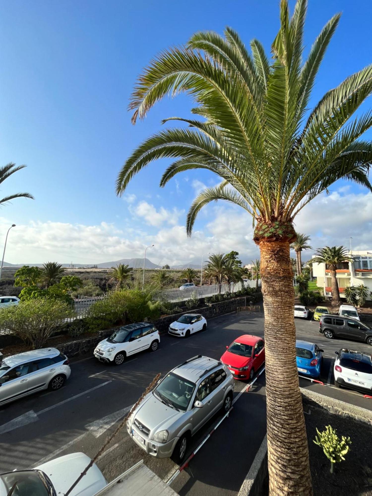 Primavera Arona (Tenerife)