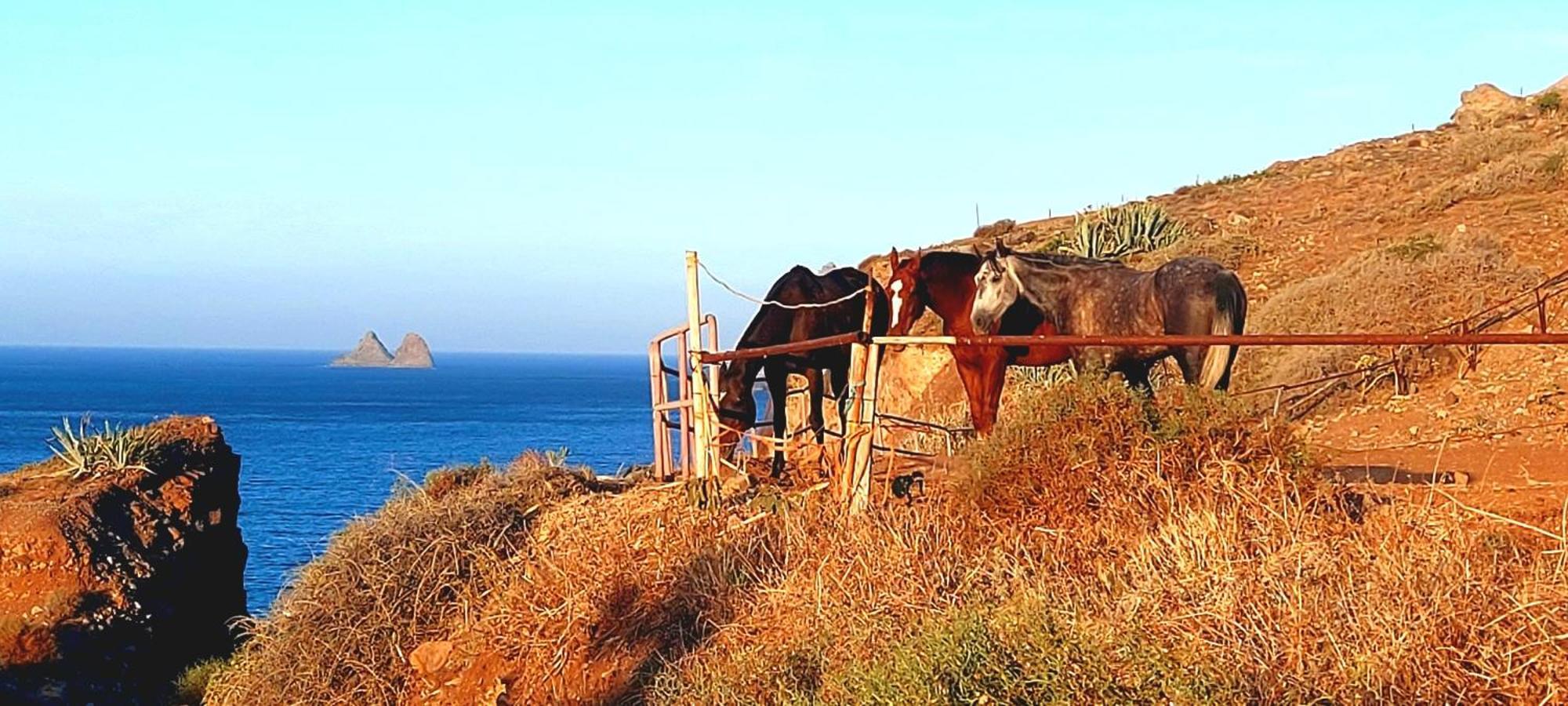 Casa Manolo Paraiso Relax-trail-surf-photo * Almaciga