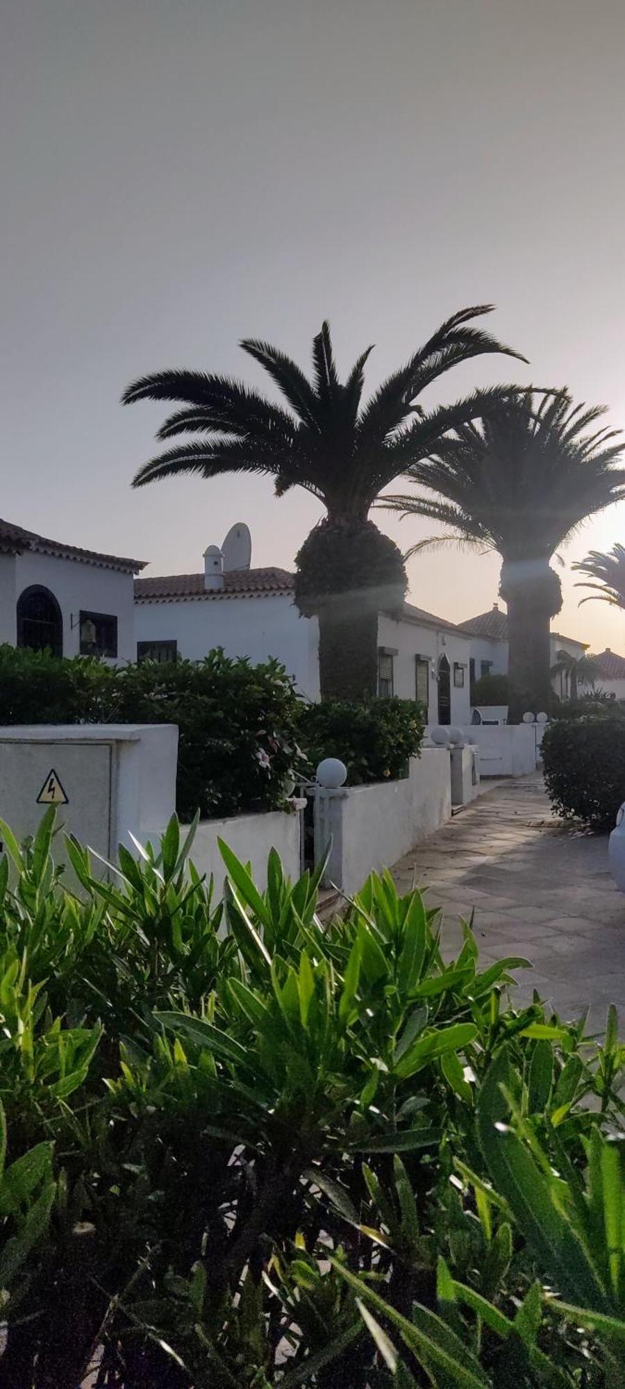 Promenade Paradise Appartement San Miguel de Abona