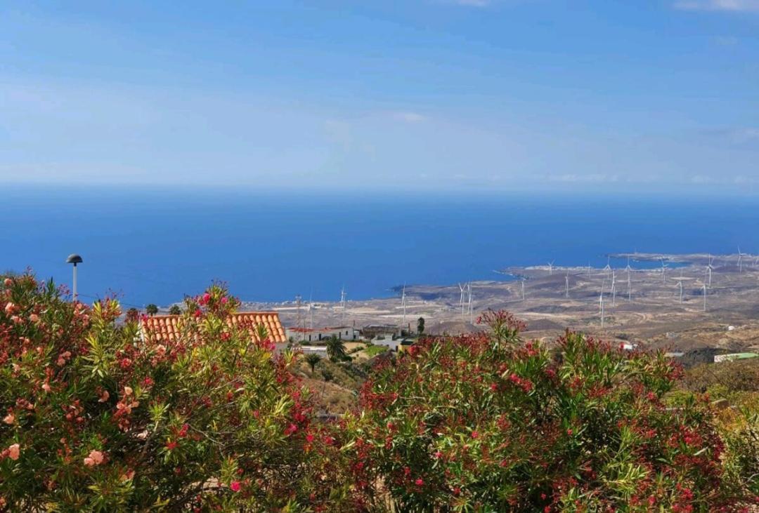 Casa Isabel - Holiday home Fasnia