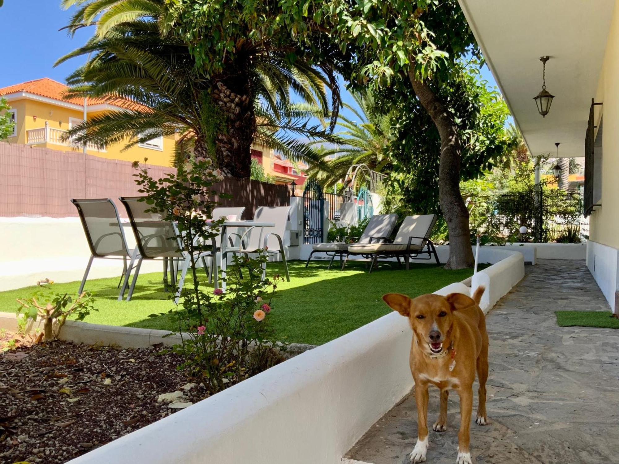 Hébergement de vacances Casa Castillo *