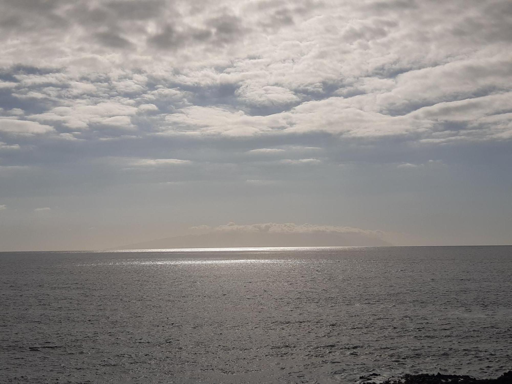 Sunny Dream -