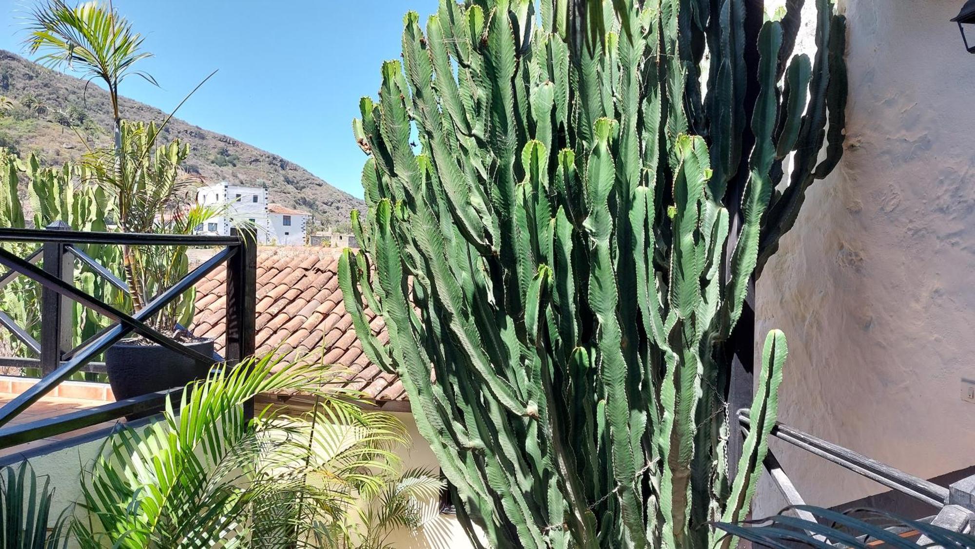 Apartment Monasterio De San Antonio - Adults Only Icod De Los Vinos