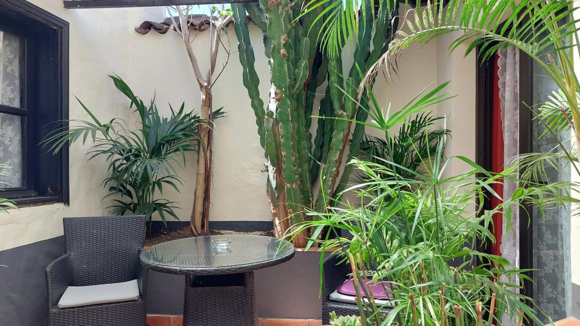 Apartment Monasterio De San Antonio - Adults Only Icod De Los Vinos