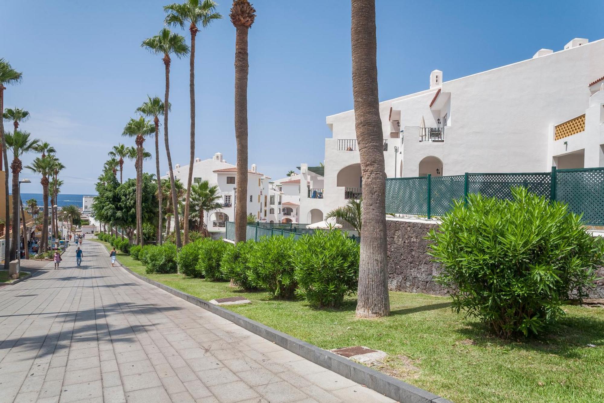 Sunset Harbour Club Aparthotel Costa Adeje (Tenerife)