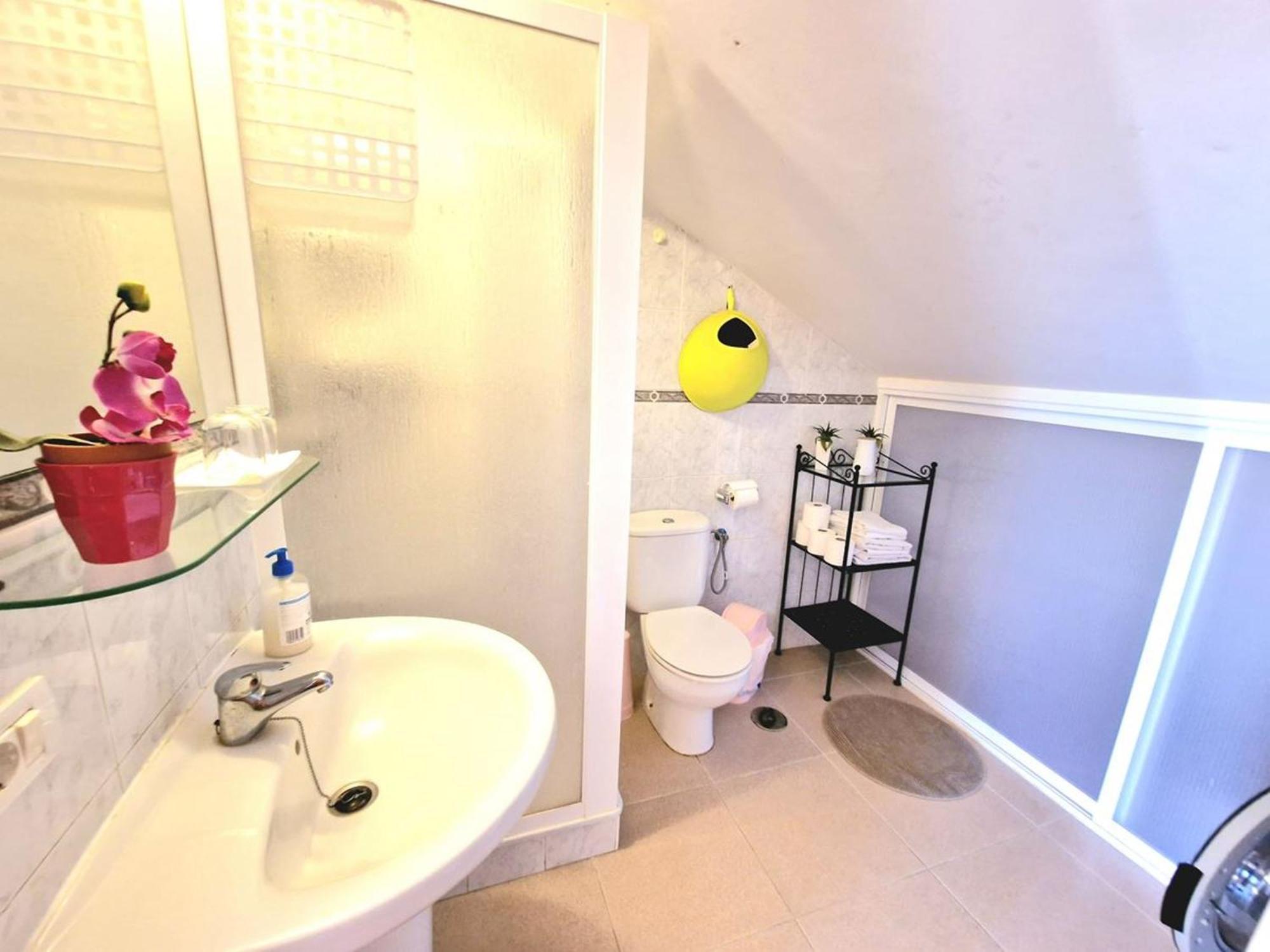 Apartment Luis Estudio Adeje Tenerife Sur By Hrtenerife Net *