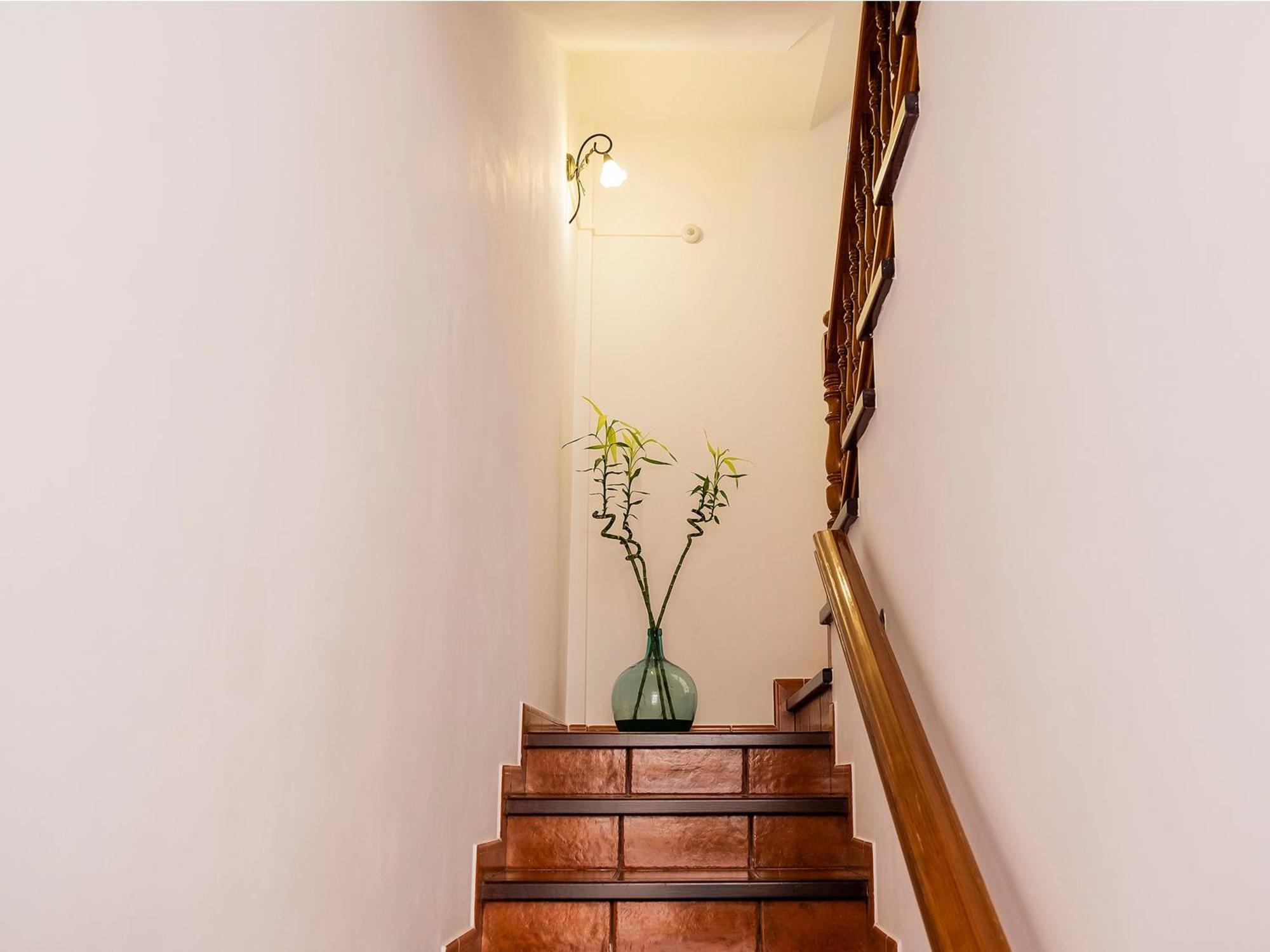 Live Buenavista Terrace