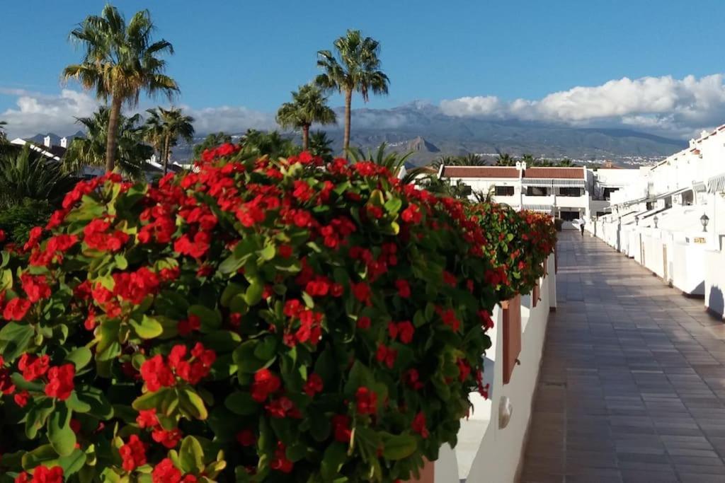 Bright With Pool In Tenerife South Costa Del Silencio
