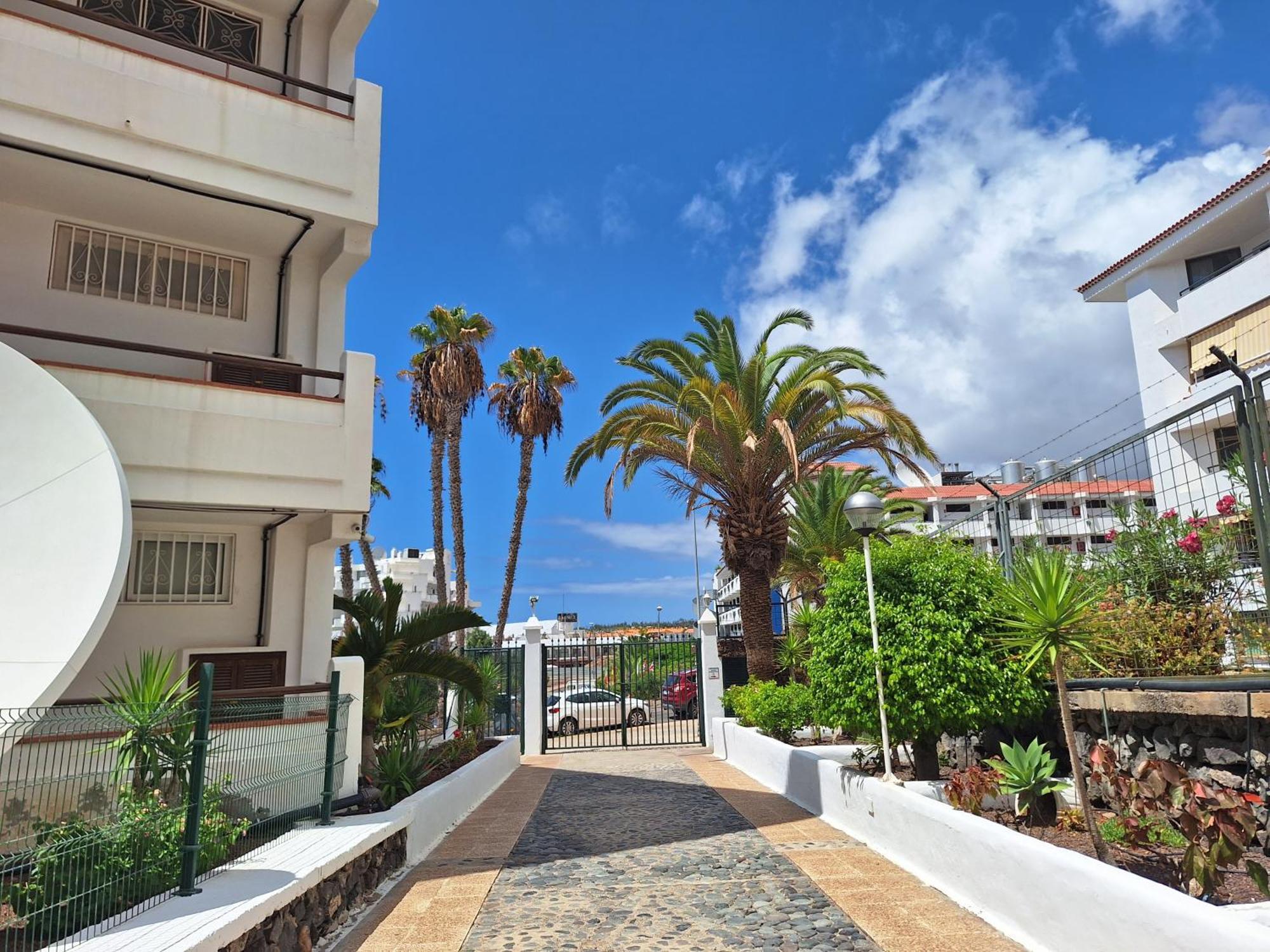 Parque Margarita, Terraza Vista Piscina * Los Cristianos (Tenerife)