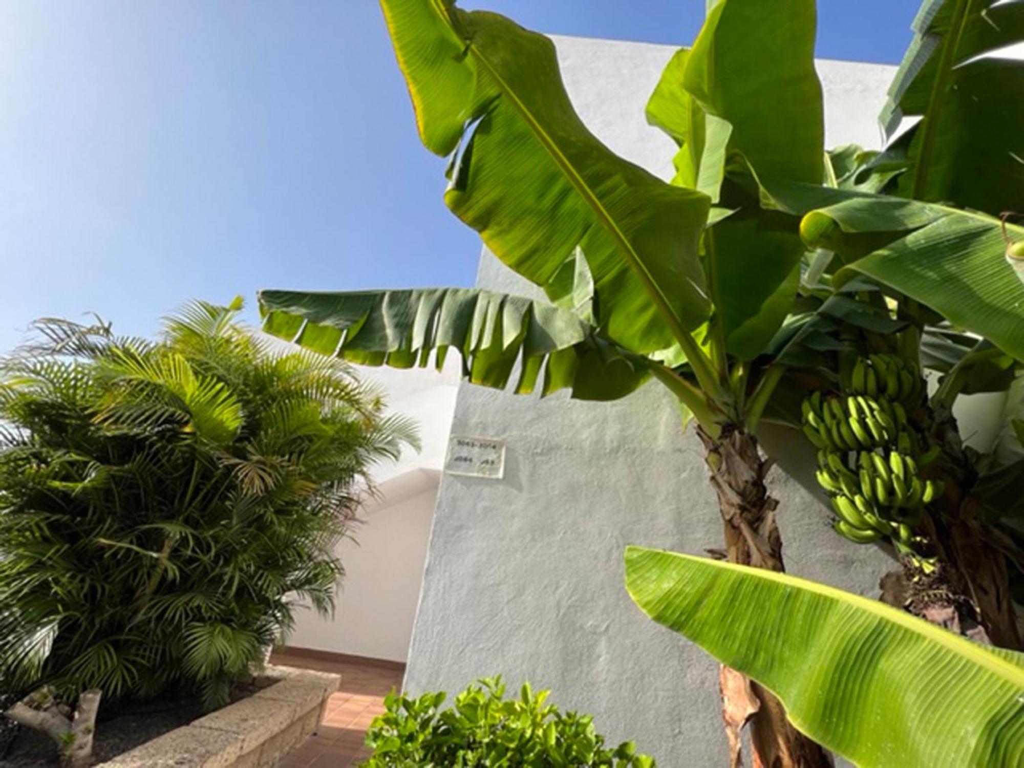 Malibu Blue Apartamento *