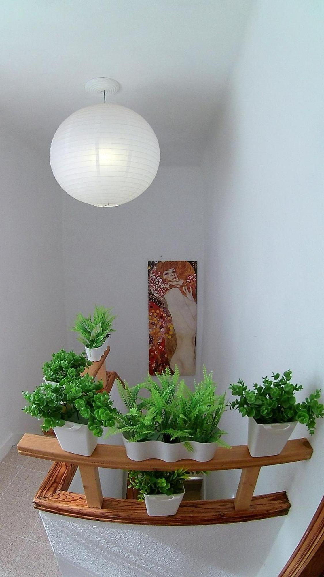 Apartment Center Cruz, Centrico Con Gran Terraza, Cocina , Salon Y Banos, Todo Privado *