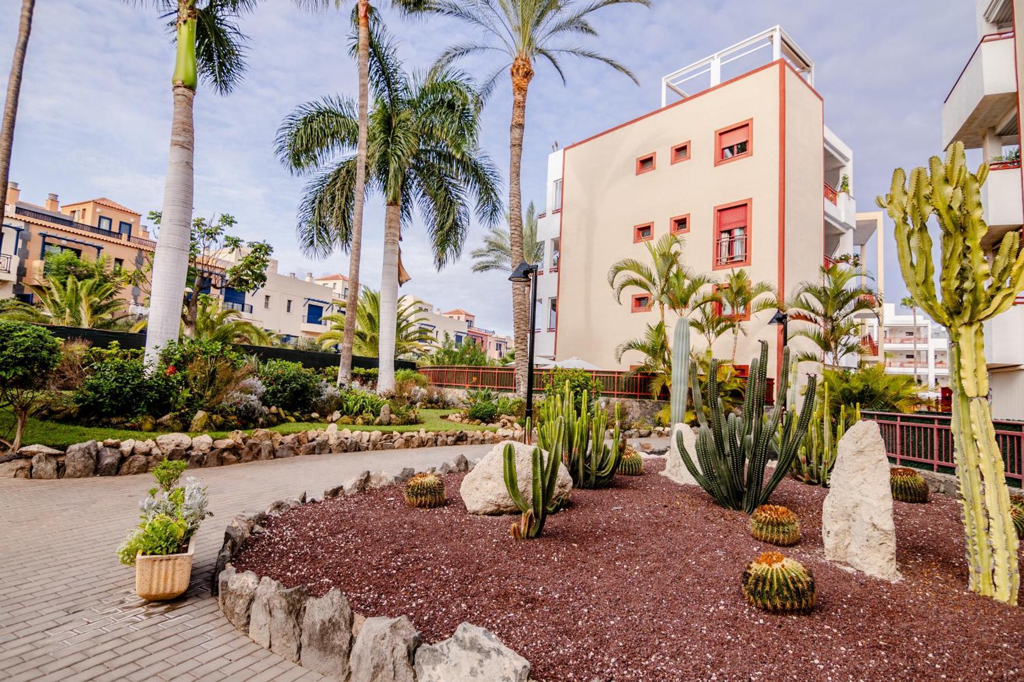 Apartment Mambo Palm-mar