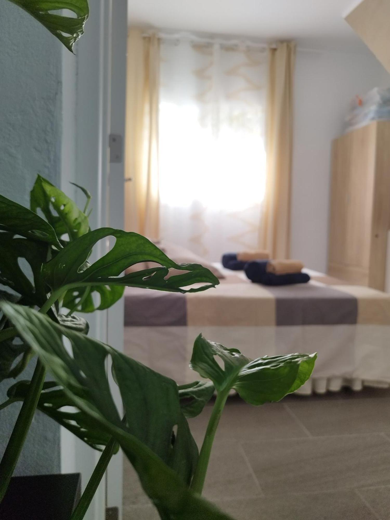 Casa De Maria Luisa Arona (Tenerife)
