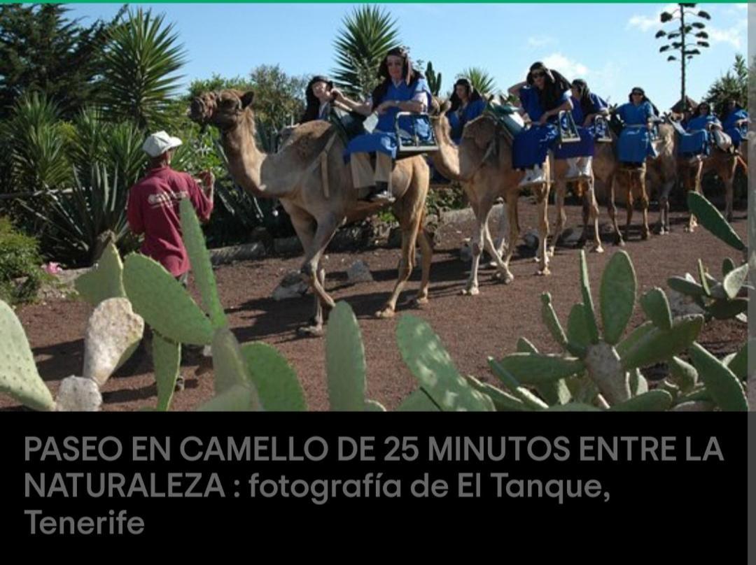La Fortaleza Сasa de vacaciones *
