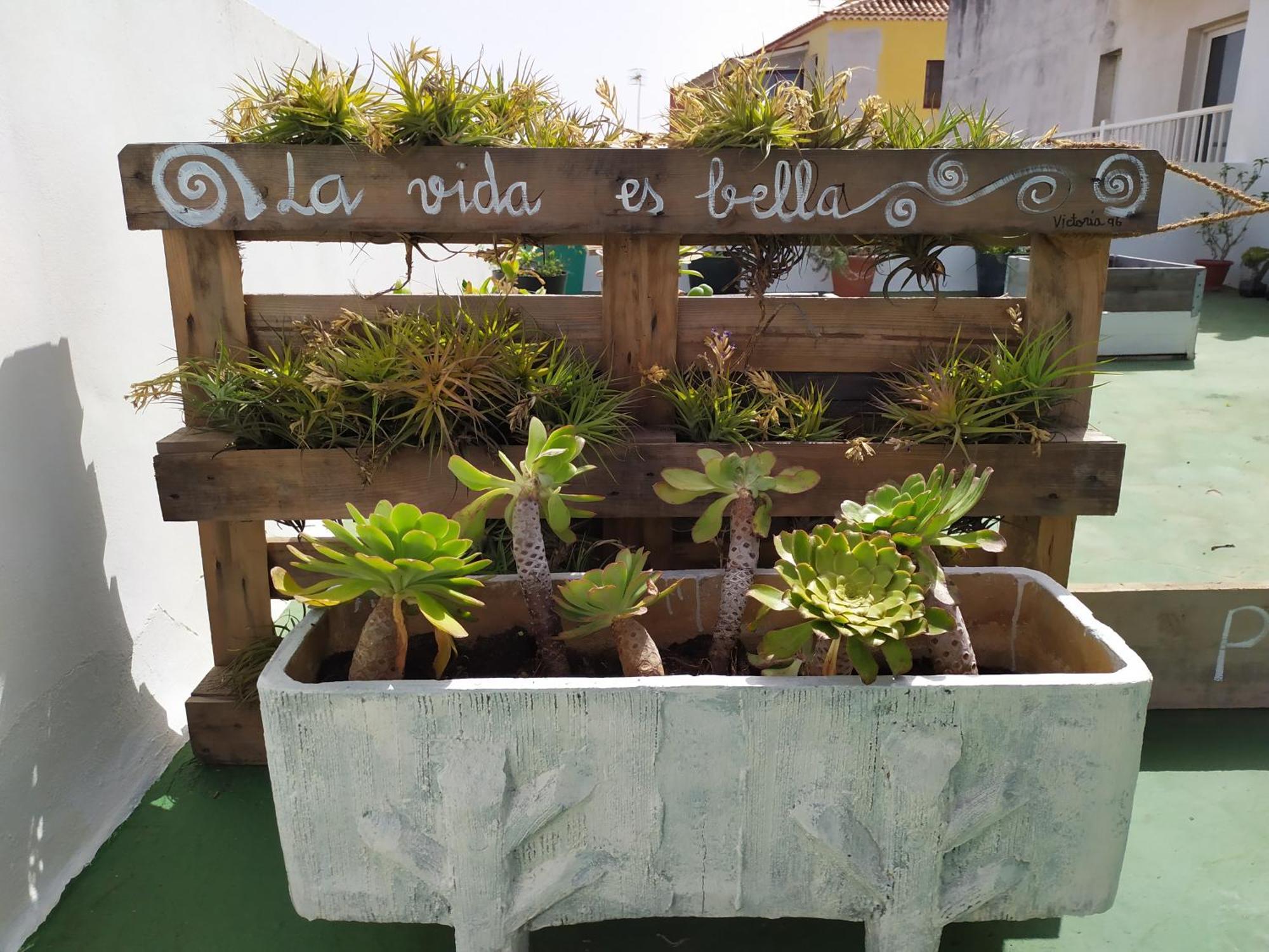 Comfortable In The North Of Tenerife Apartment *