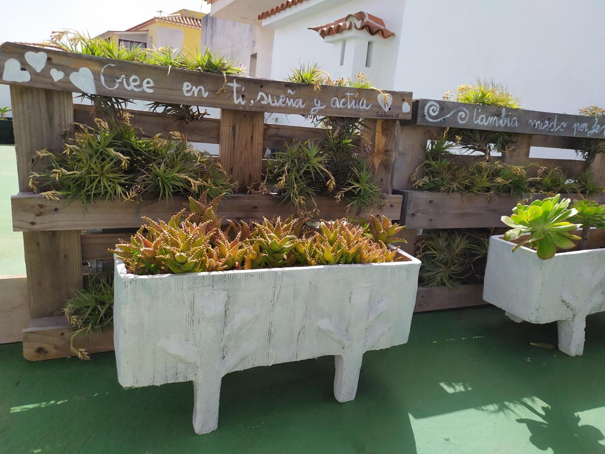 Apartment Comfortable In The North Of Tenerife