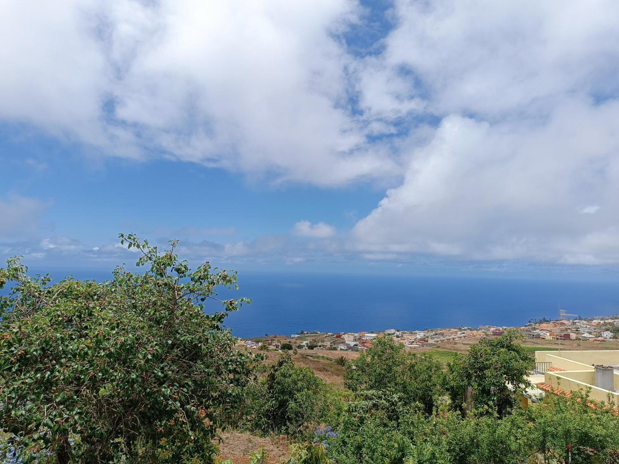 Apartment Comodo Estudio En El Norte De Tenerife Sauzal