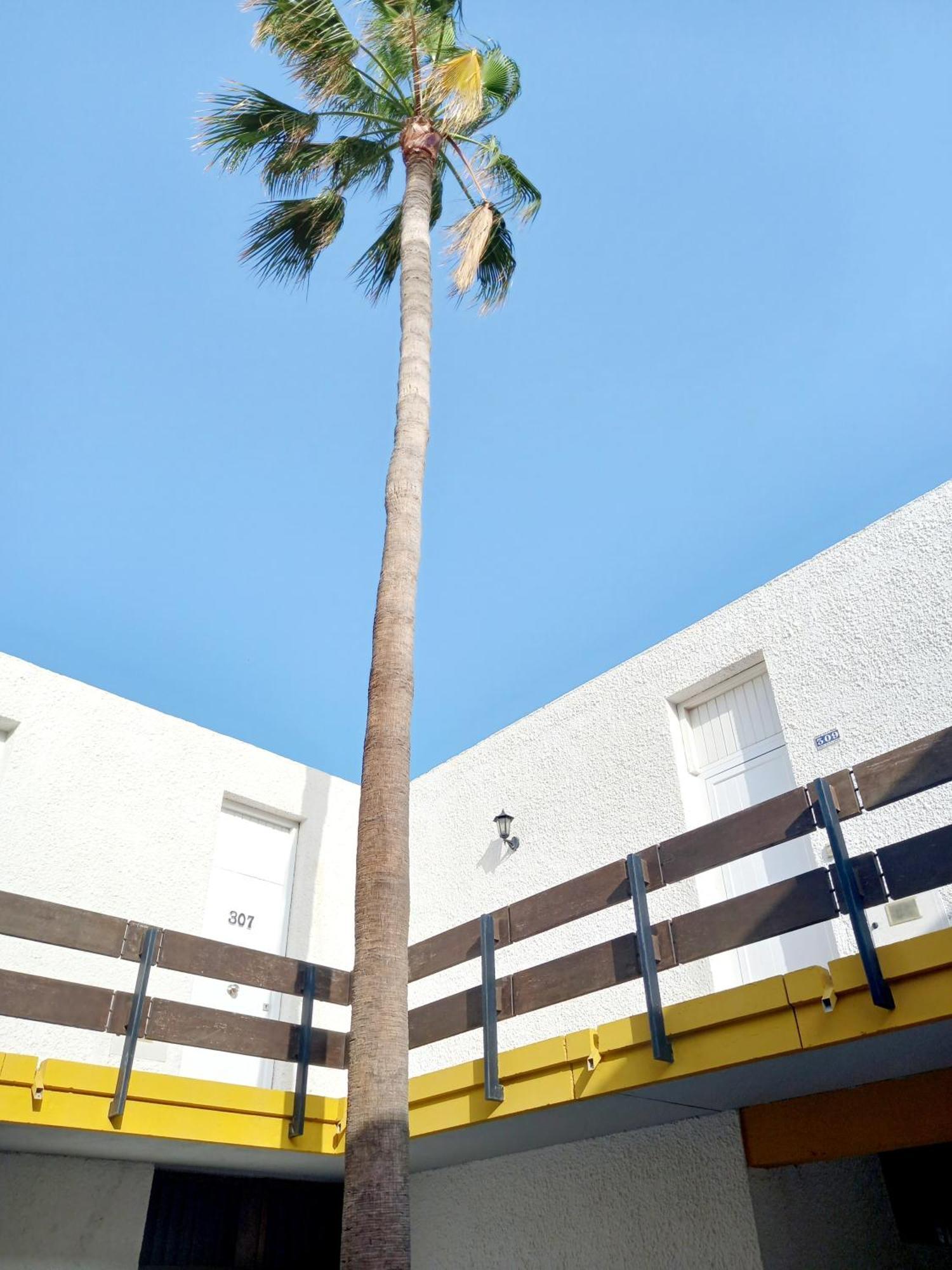 Papagayo Appartement Arona (Tenerife)