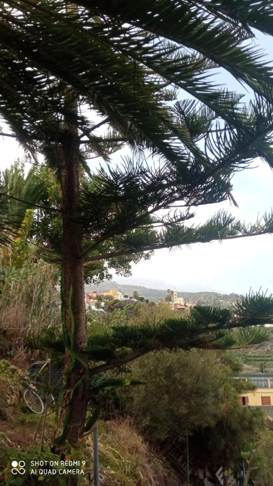 2faros Apartment La Guancha
