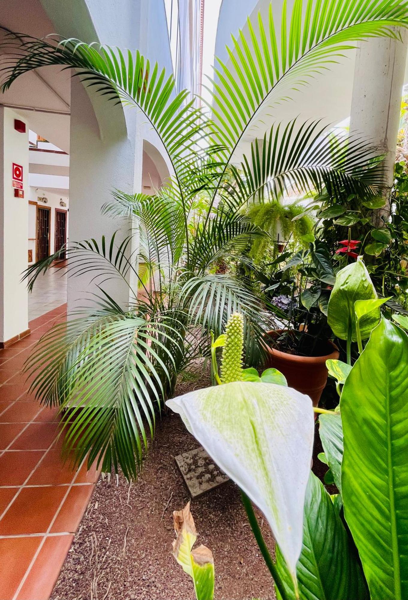 Aloha - Costa Del Silencio Apartment