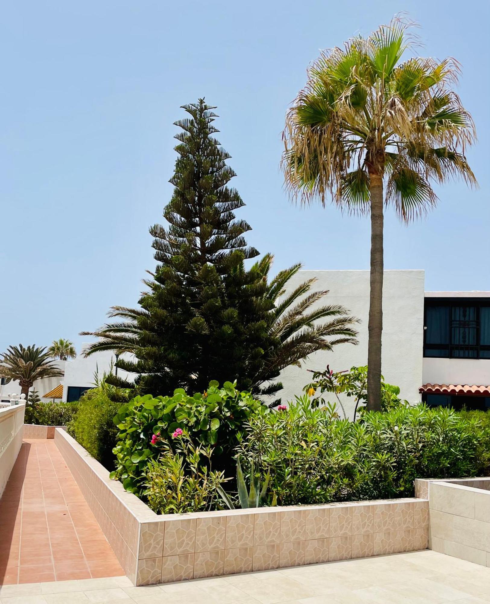 Appartement Aloha - Costa Del Silencio *