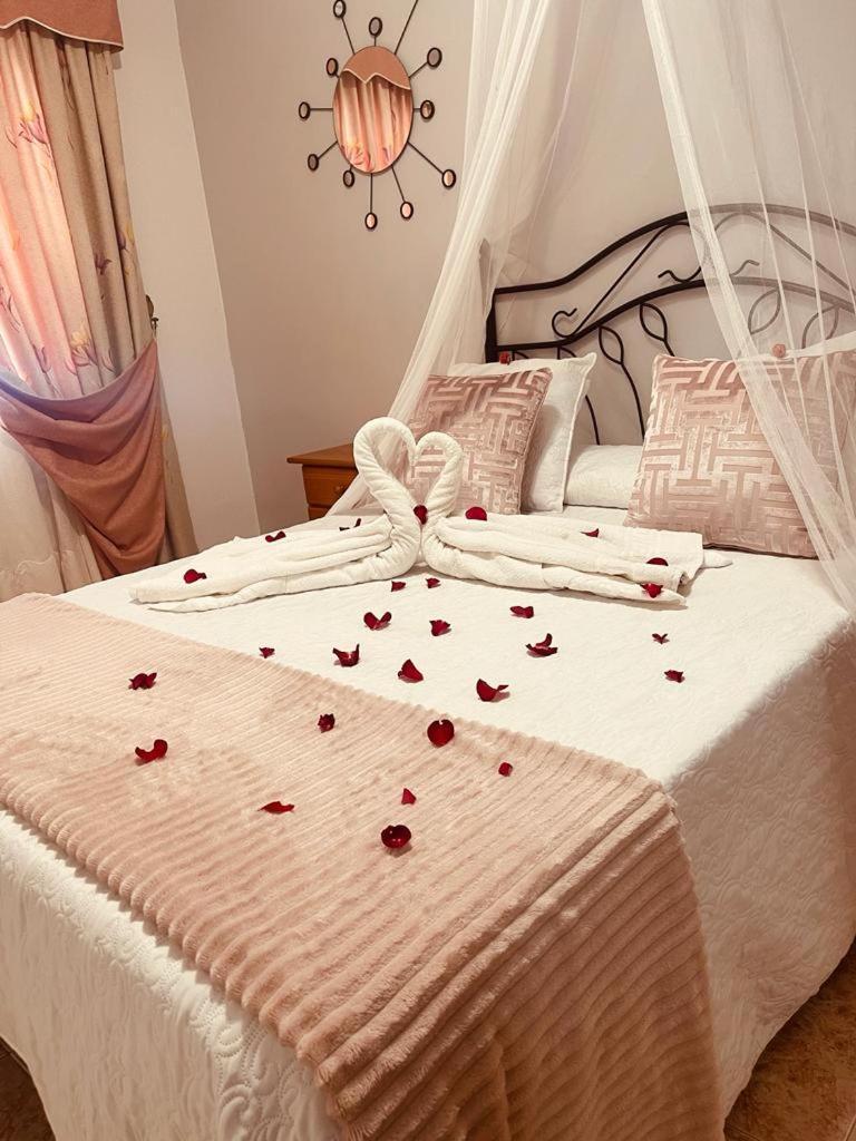 Fantástico De 1 Habitación En El Pris Tacoronte