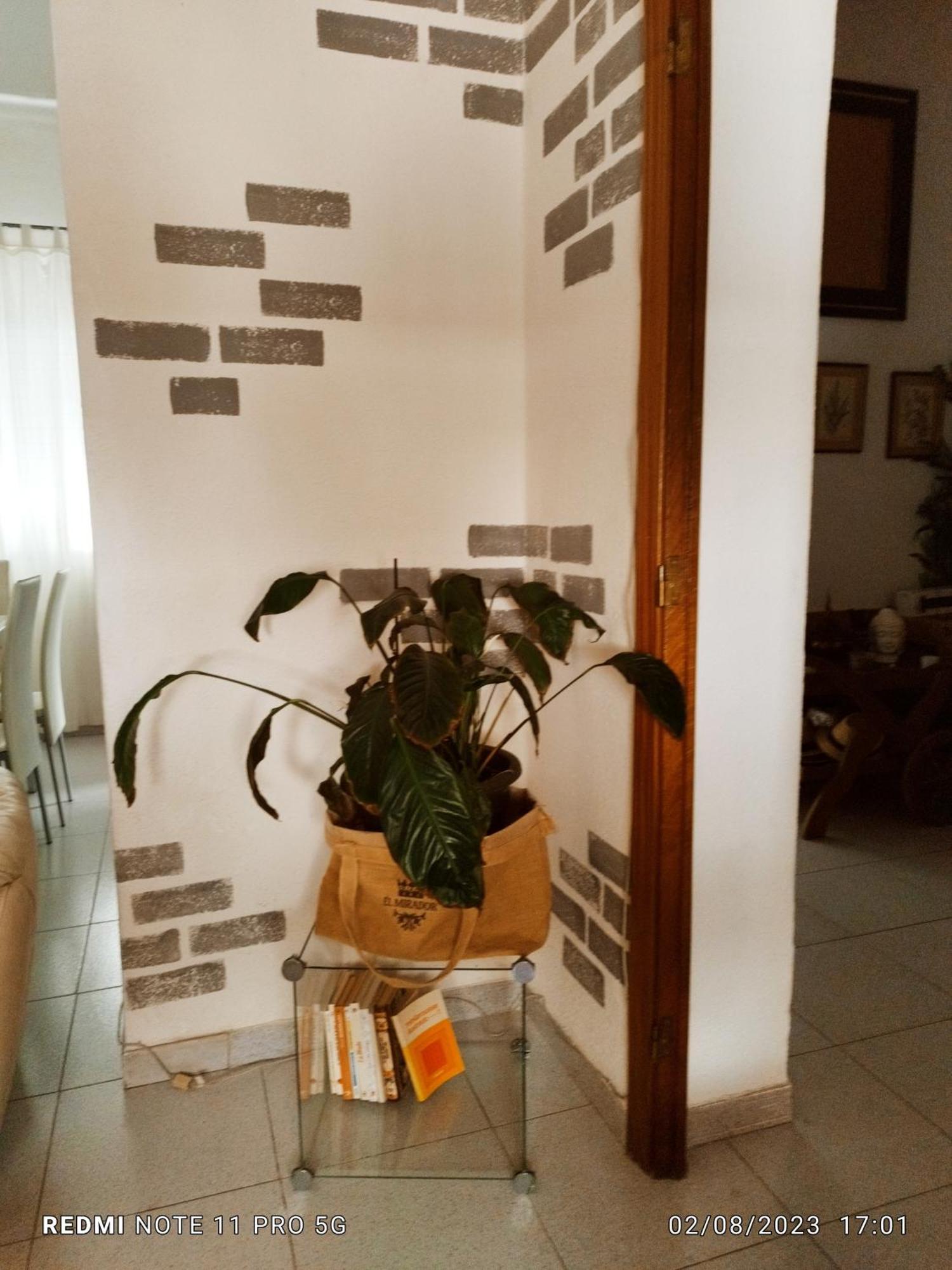 Casapatrizia Compartido * Santa-Cruz de Ténérife