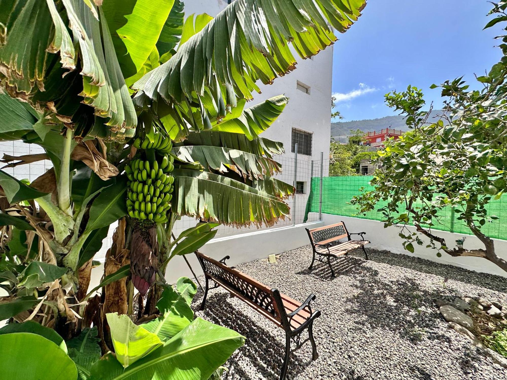 Сasa de vacaciones Casa Tina Güímar
