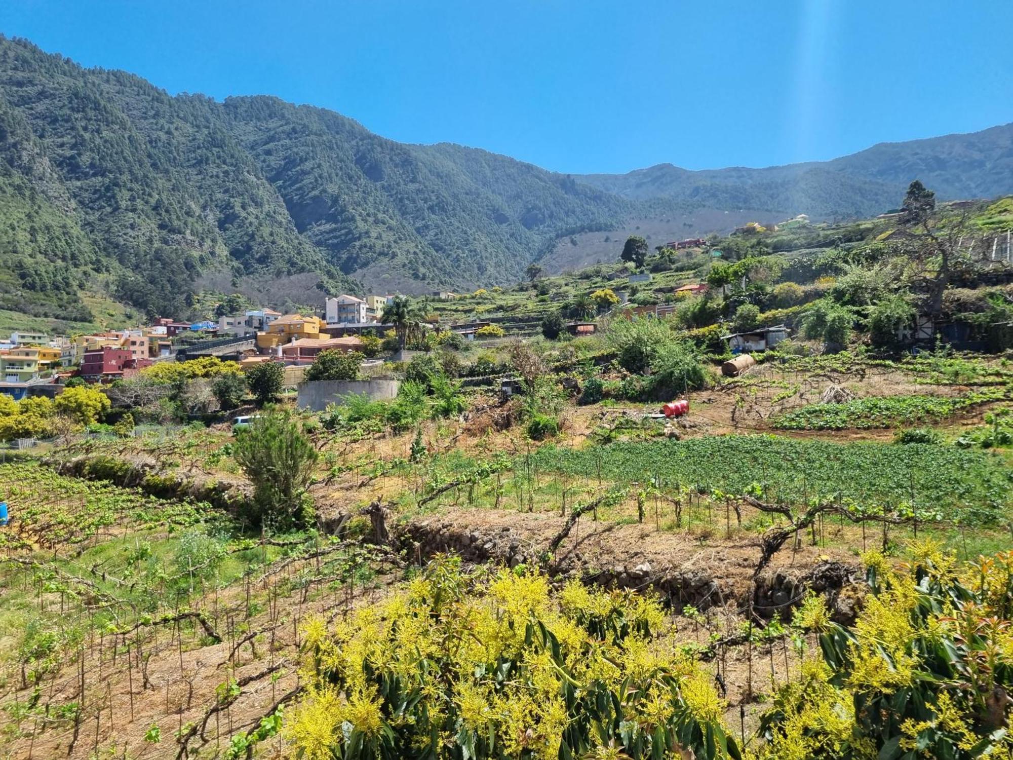 Holiday home Ca Na Paula La Orotava