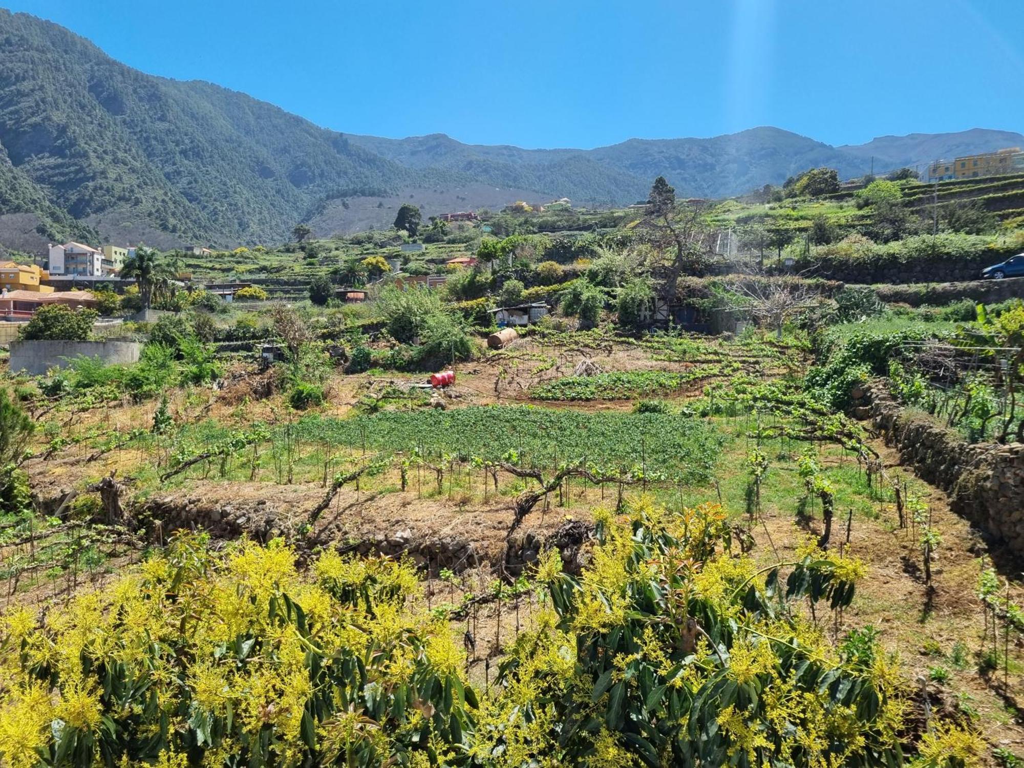 Ca Na Paula Holiday home La Orotava