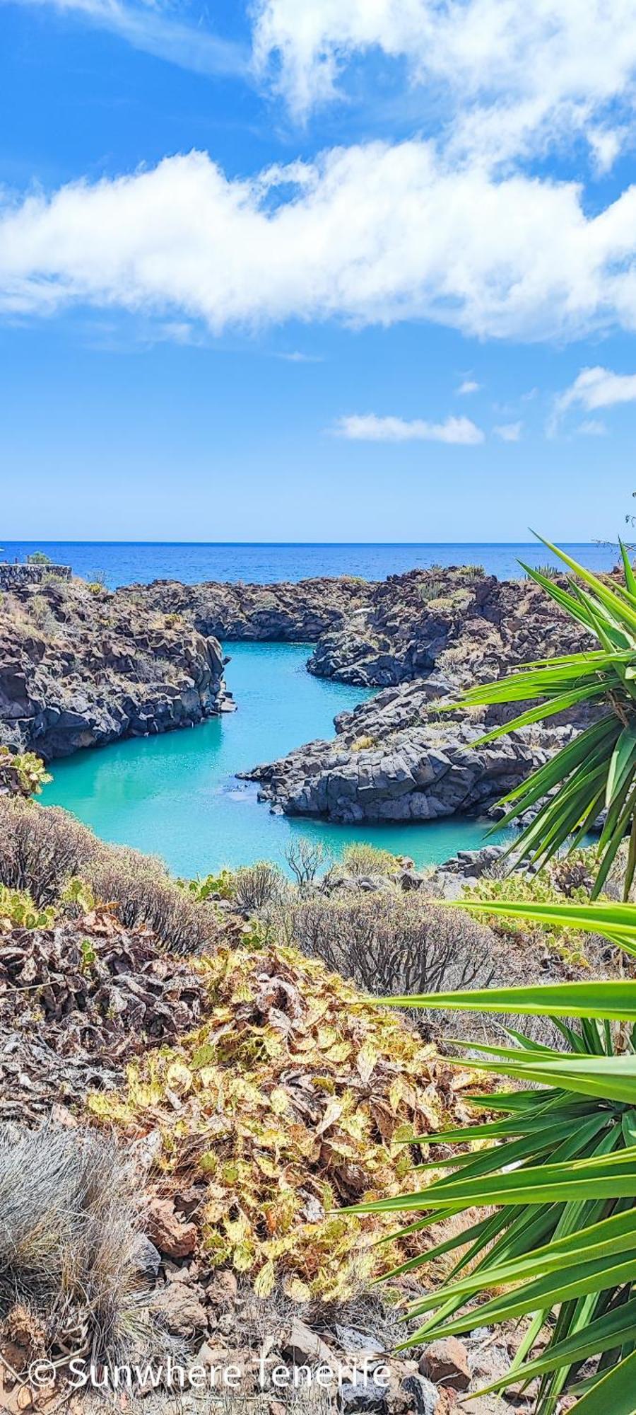 Spacious With Private Garden In Tenerife South *