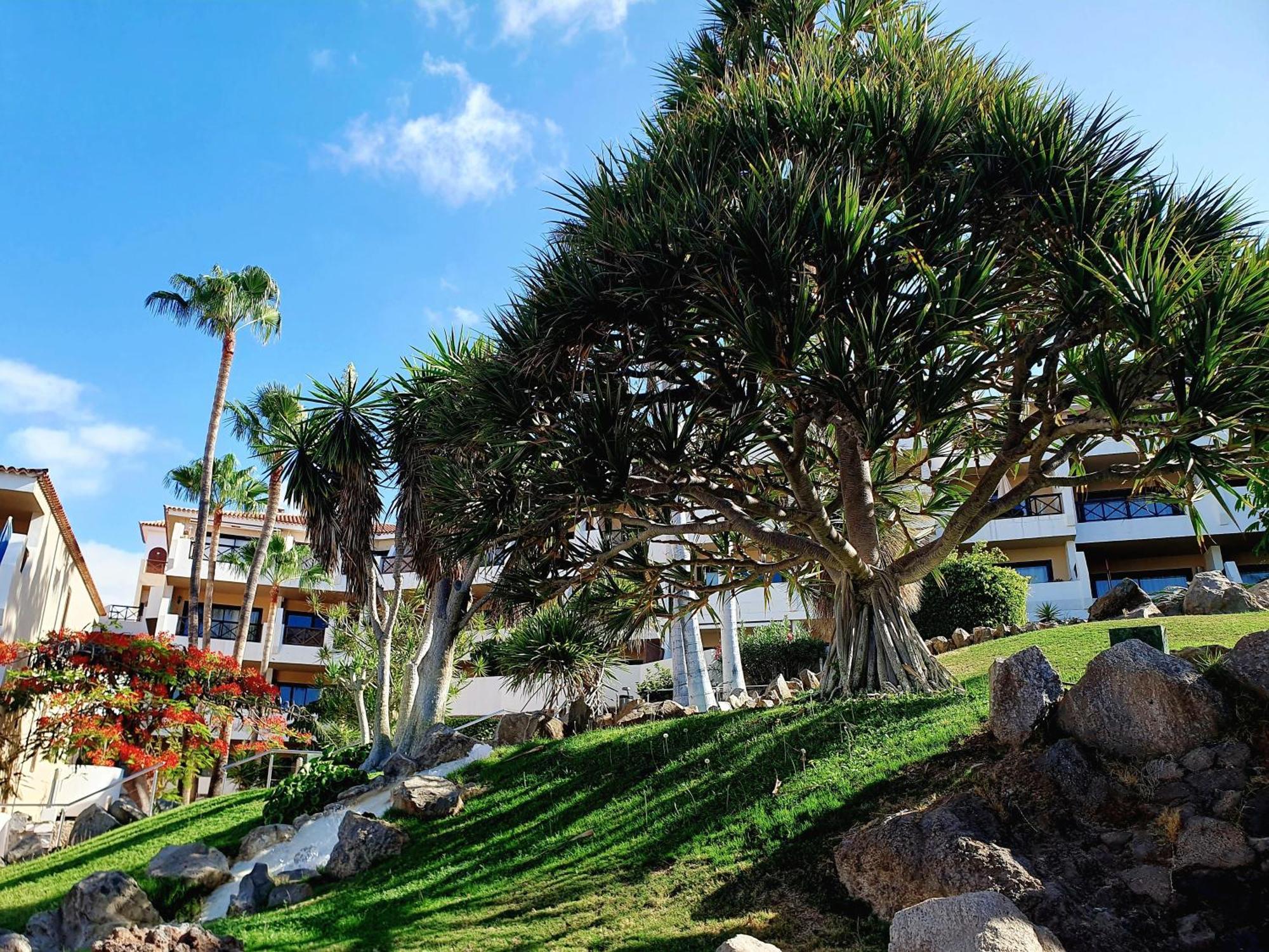 Spacious With Private Garden In Tenerife South * San Miguel de Abona