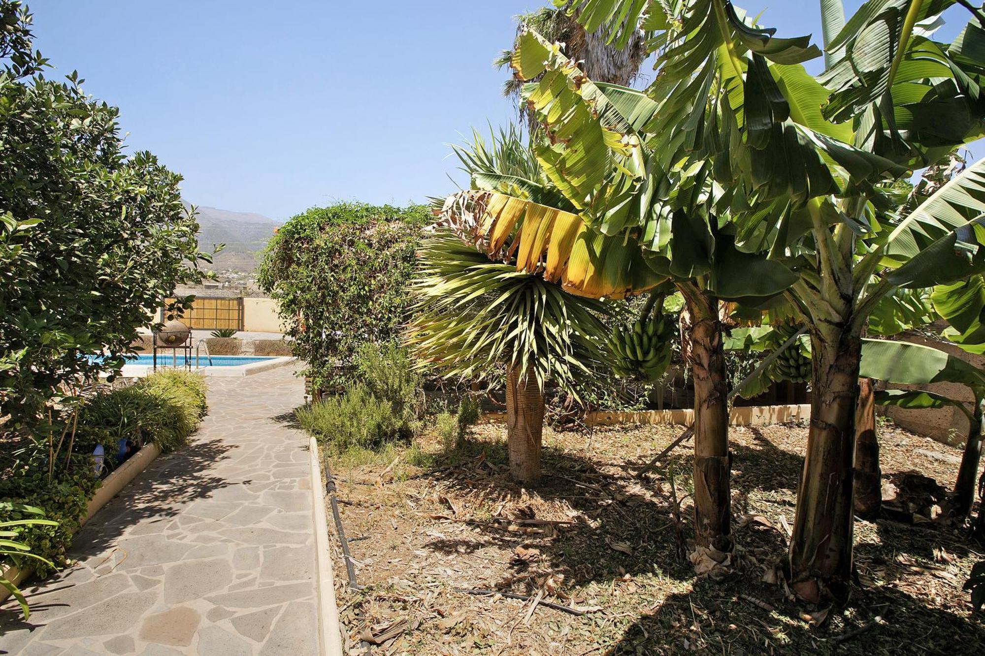 Tres Palmeras Appartement *