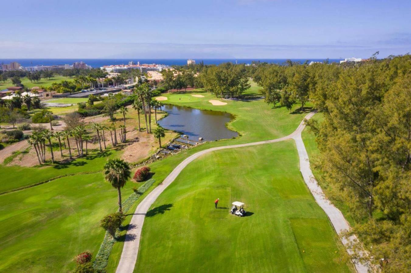 Luxury Borinquen With Parking And Swimming Pool * Playa de las Americas (Tenerife)
