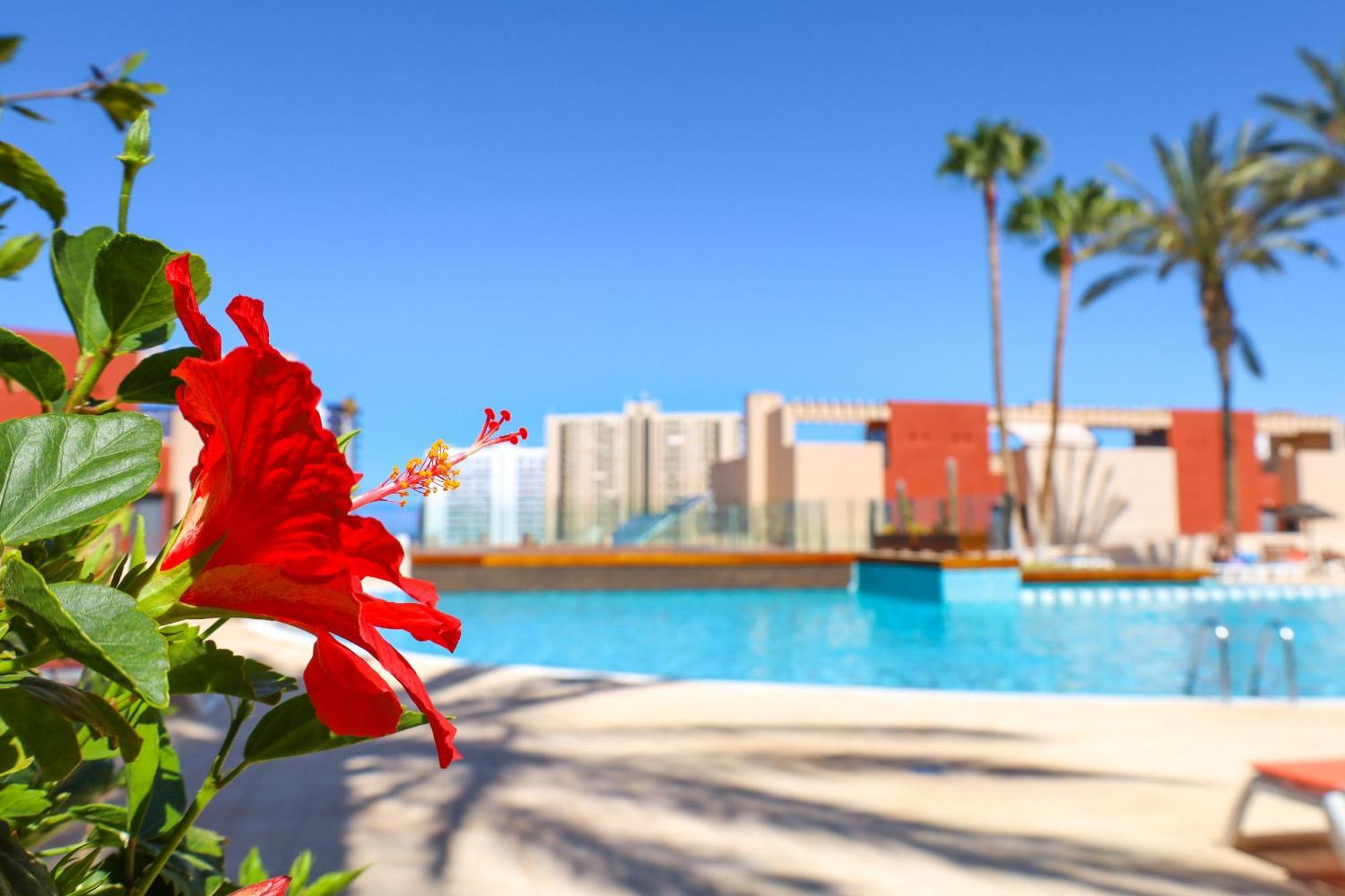 Relax In Paraiso Appartement Playa Paraiso (Tenerife)