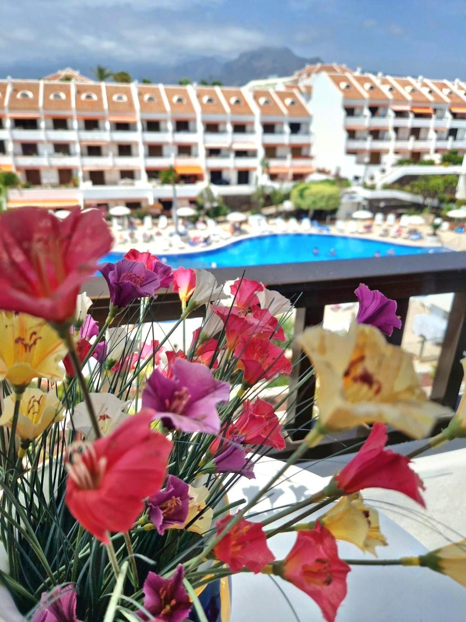 Parque Santiago 1 F-348 By Tenerife Dream Apartment Playa de las Americas (Tenerife)