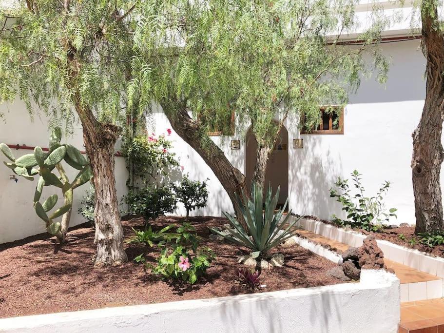 Apartamento Lucia Garden Con Piscina Climatizada Playa Feñabe