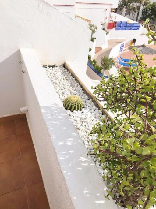 Apartment Lucia Garden Con Piscina Climatizada