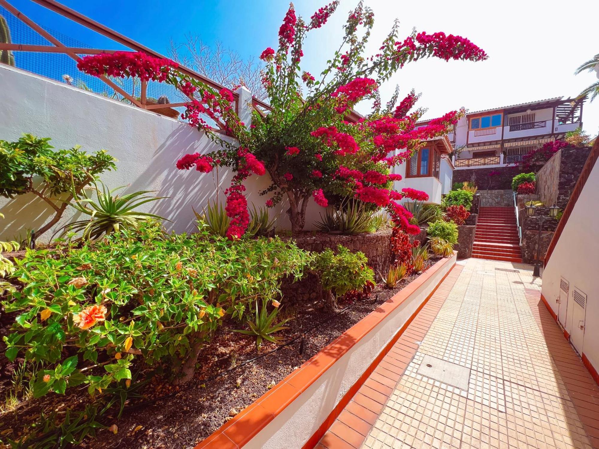 Apartment First Line In El Beril Playa Del Duque Pd1 *