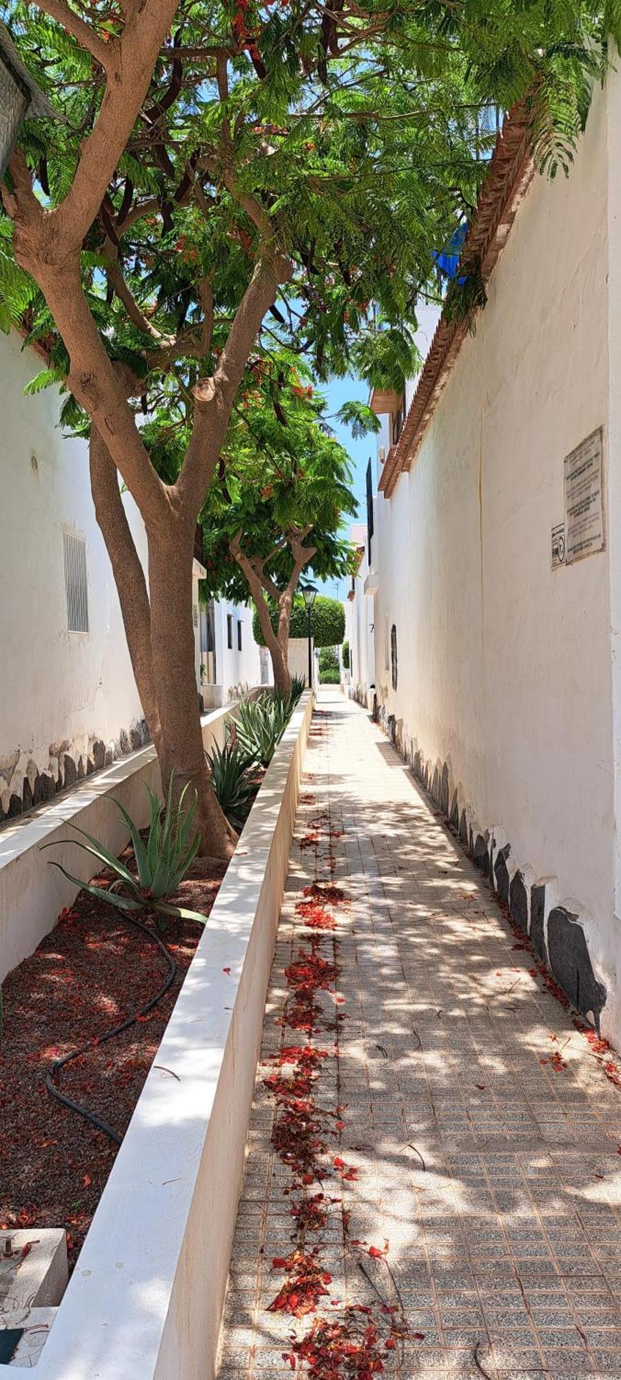 Apartamento Kassisaba