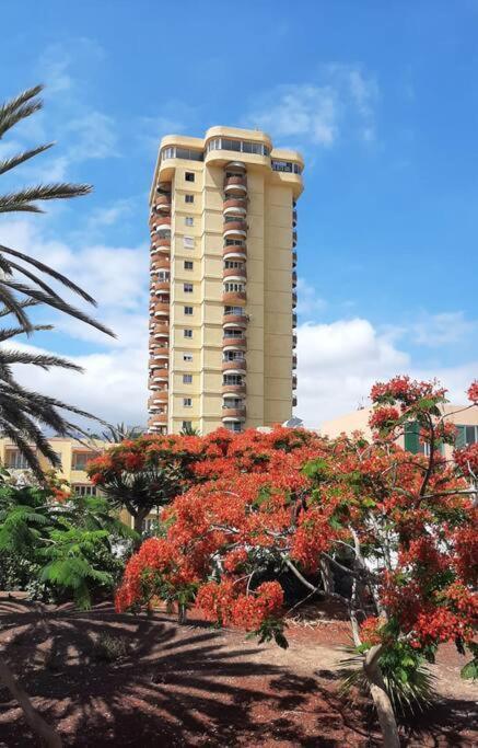 Apartamento Estudio Coqueto Torres Del Sol