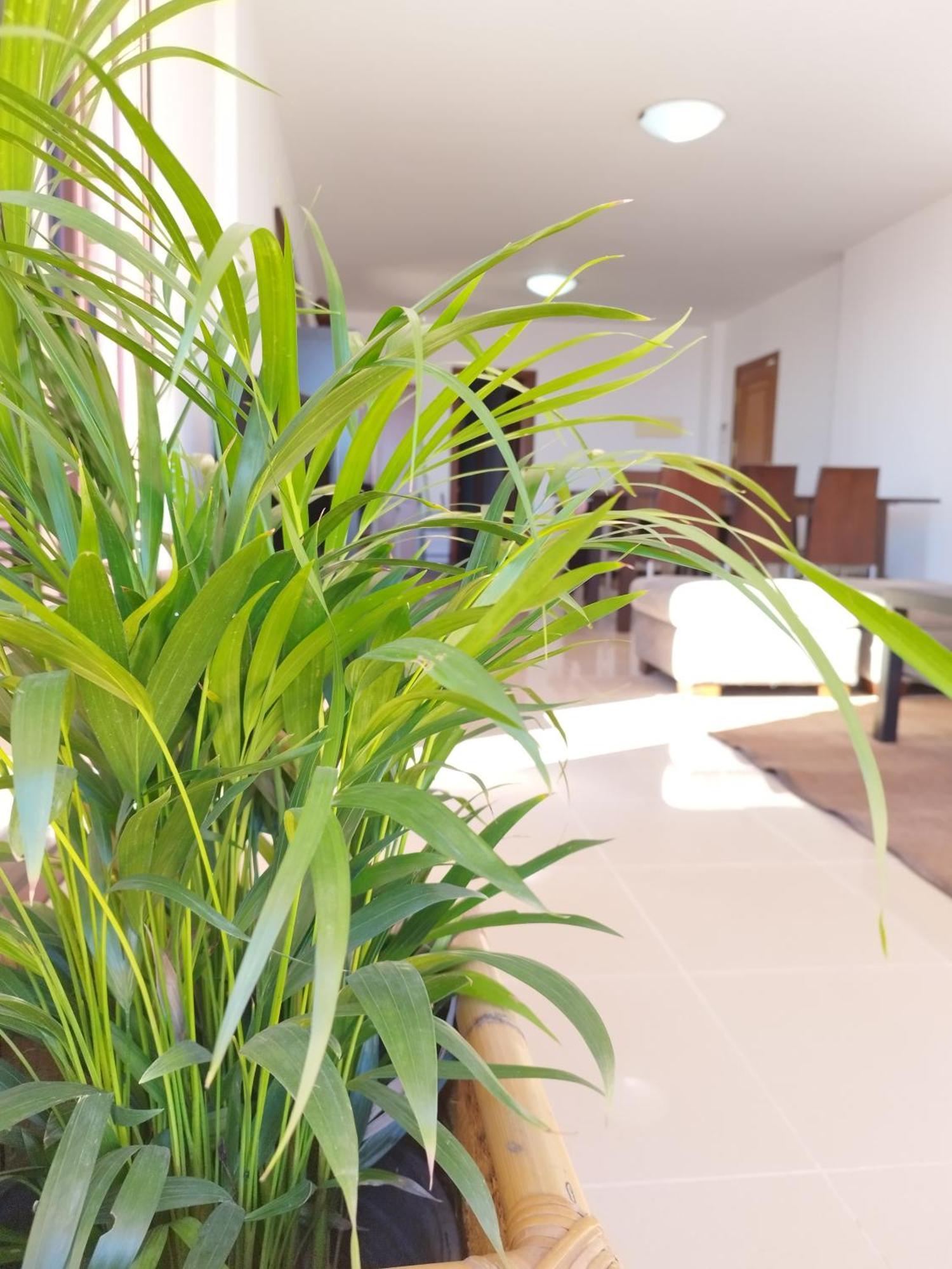 Vivienda Vacacional Compartida Couette-café *