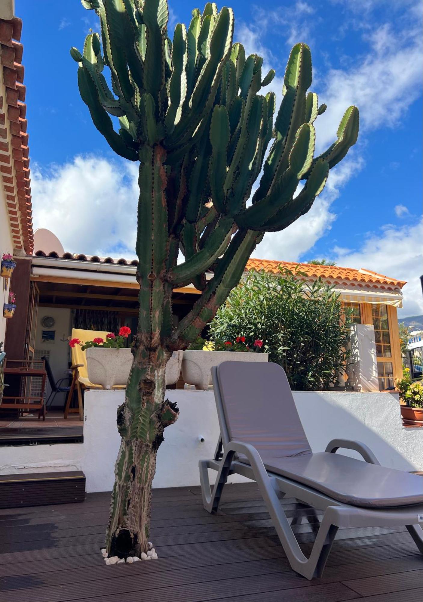 Cactus's House, 150 M Beach, 1 Bdr, 4 Guests, Wifi, Netflix, * Costa Adeje (Tenerife)