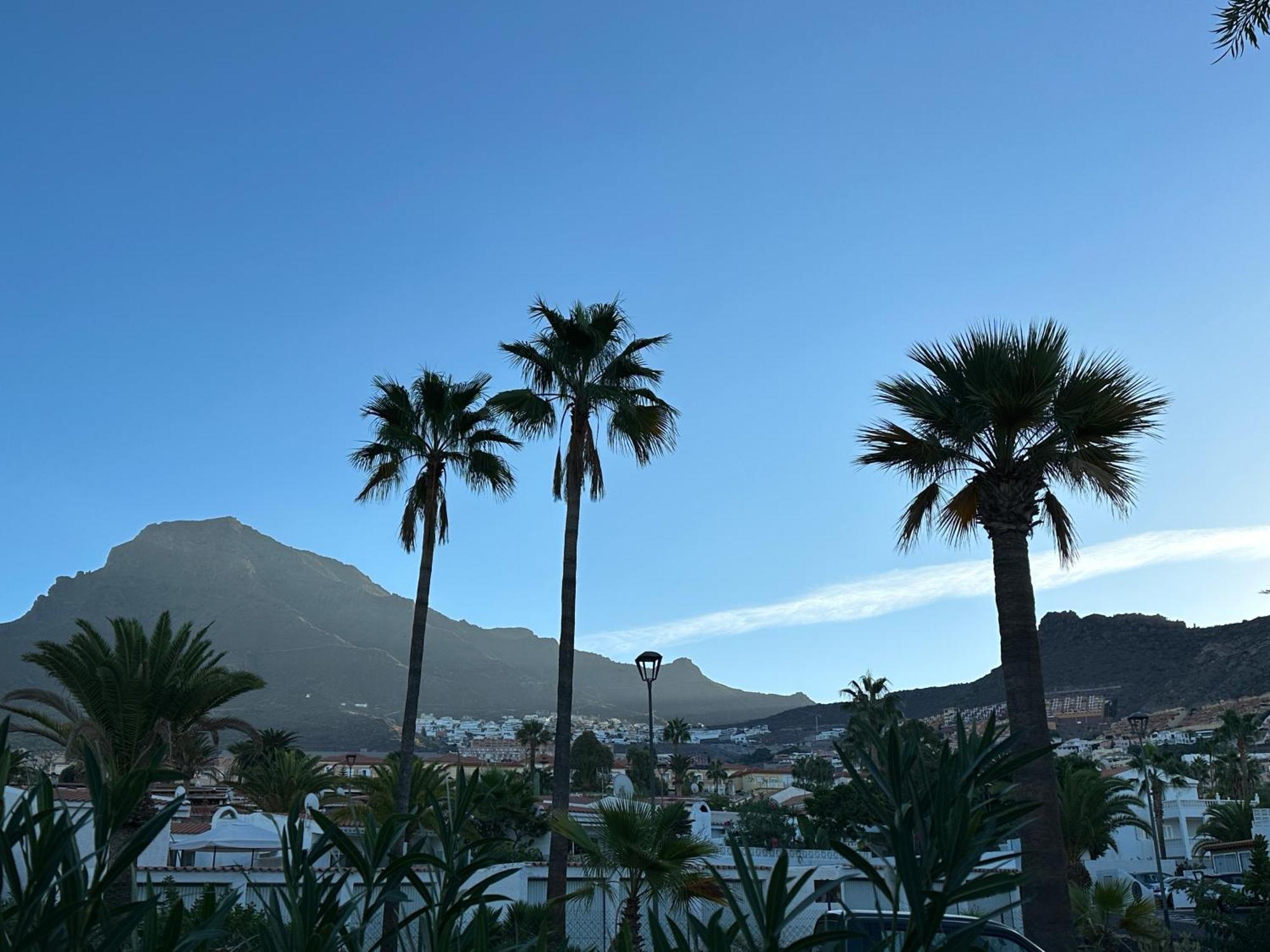 Tenerife Holidays * Costa Adeje (Tenerife)