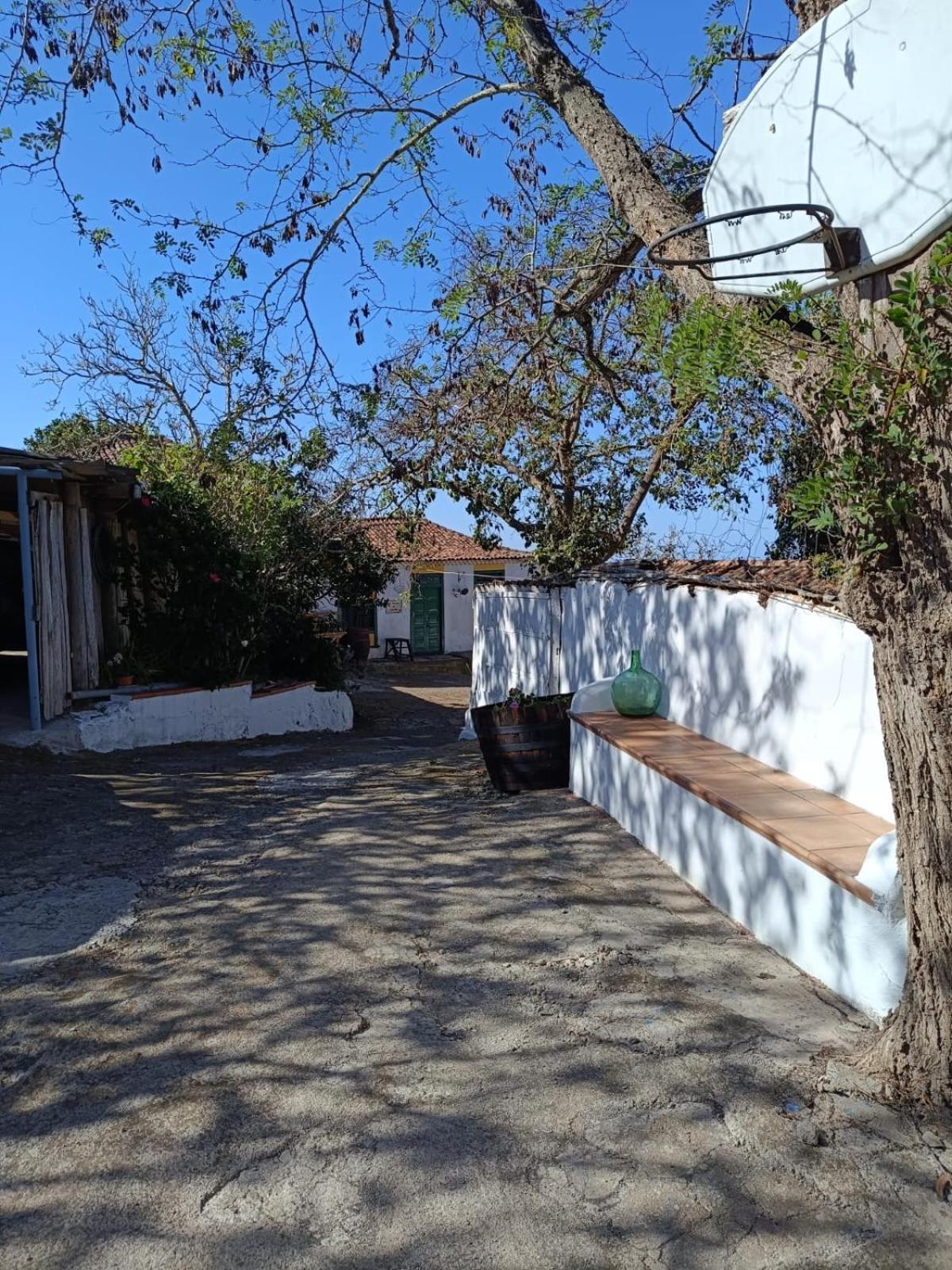 Mamposo Hébergement de vacances Tacoronte