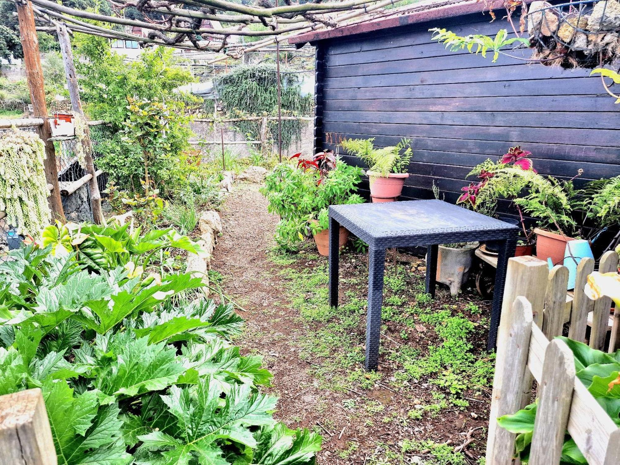 Hébergement de vacances Teide In Icod De Vinos By Hrtenerife Net