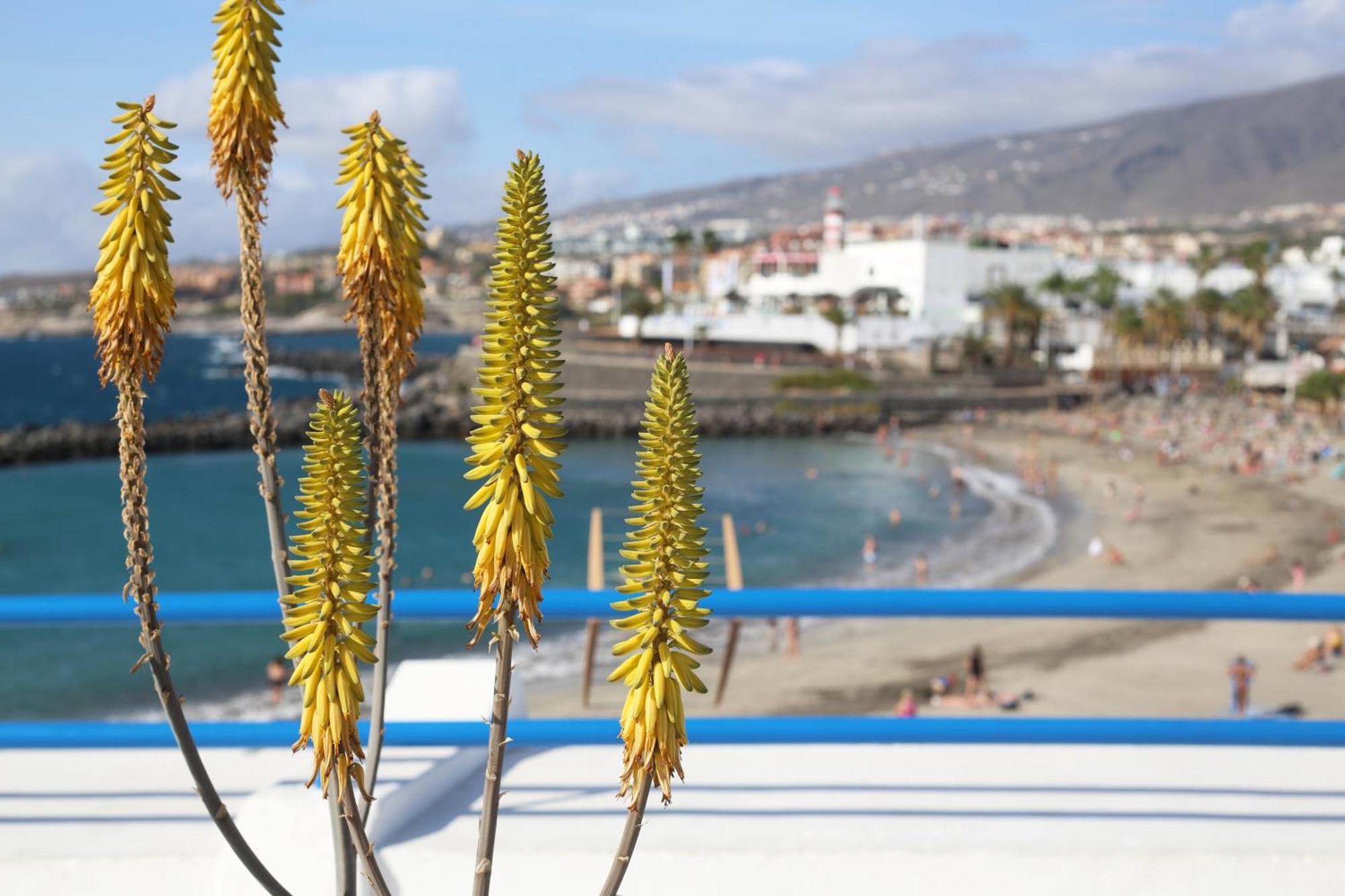 Luxury Romantic Ocean View Apartamento *