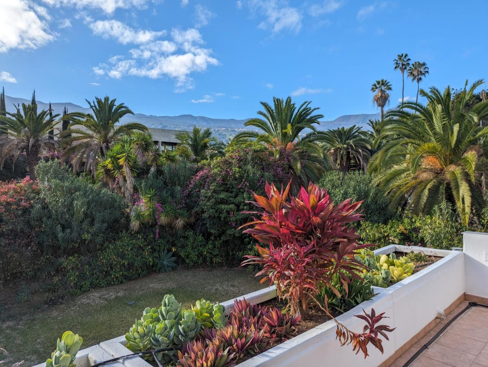 Apartamento Schicke In La Paz, Puerto De La Cruz