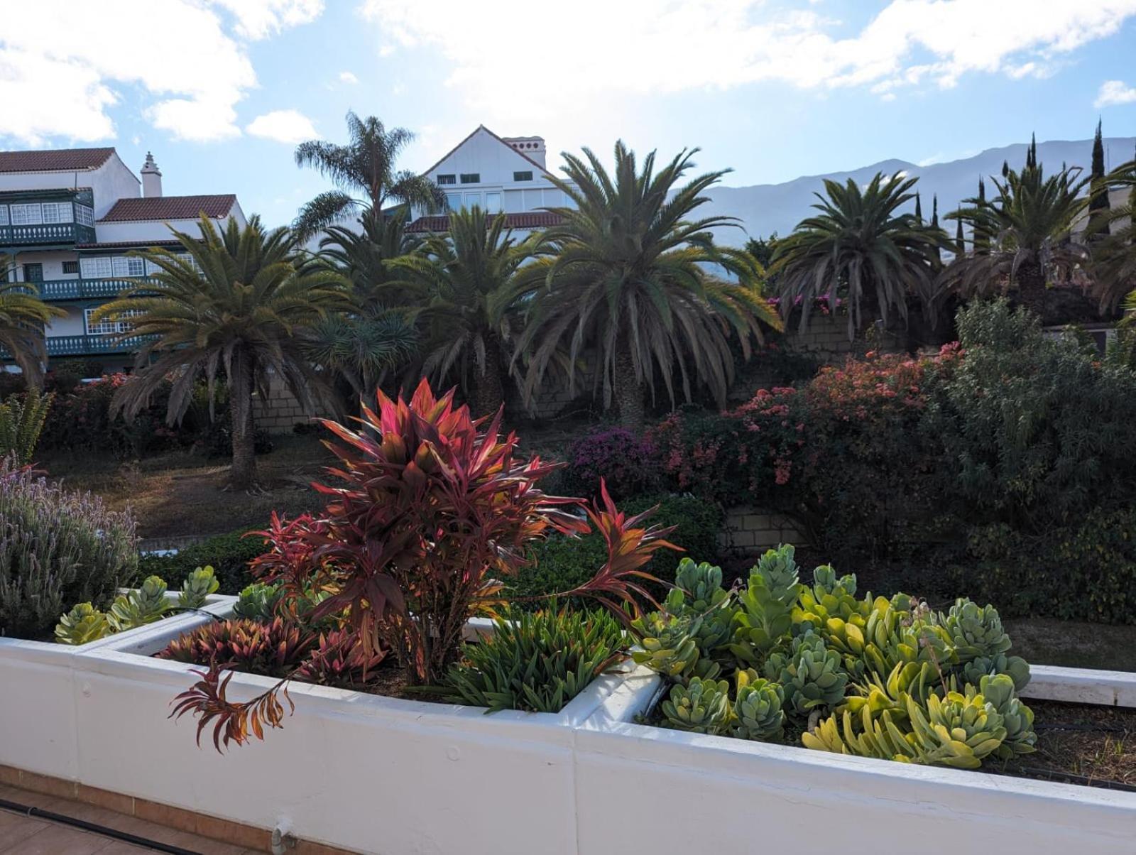 Apartamento Schicke In La Paz, Puerto De La Cruz Puerto de la Cruz (Tenerife)