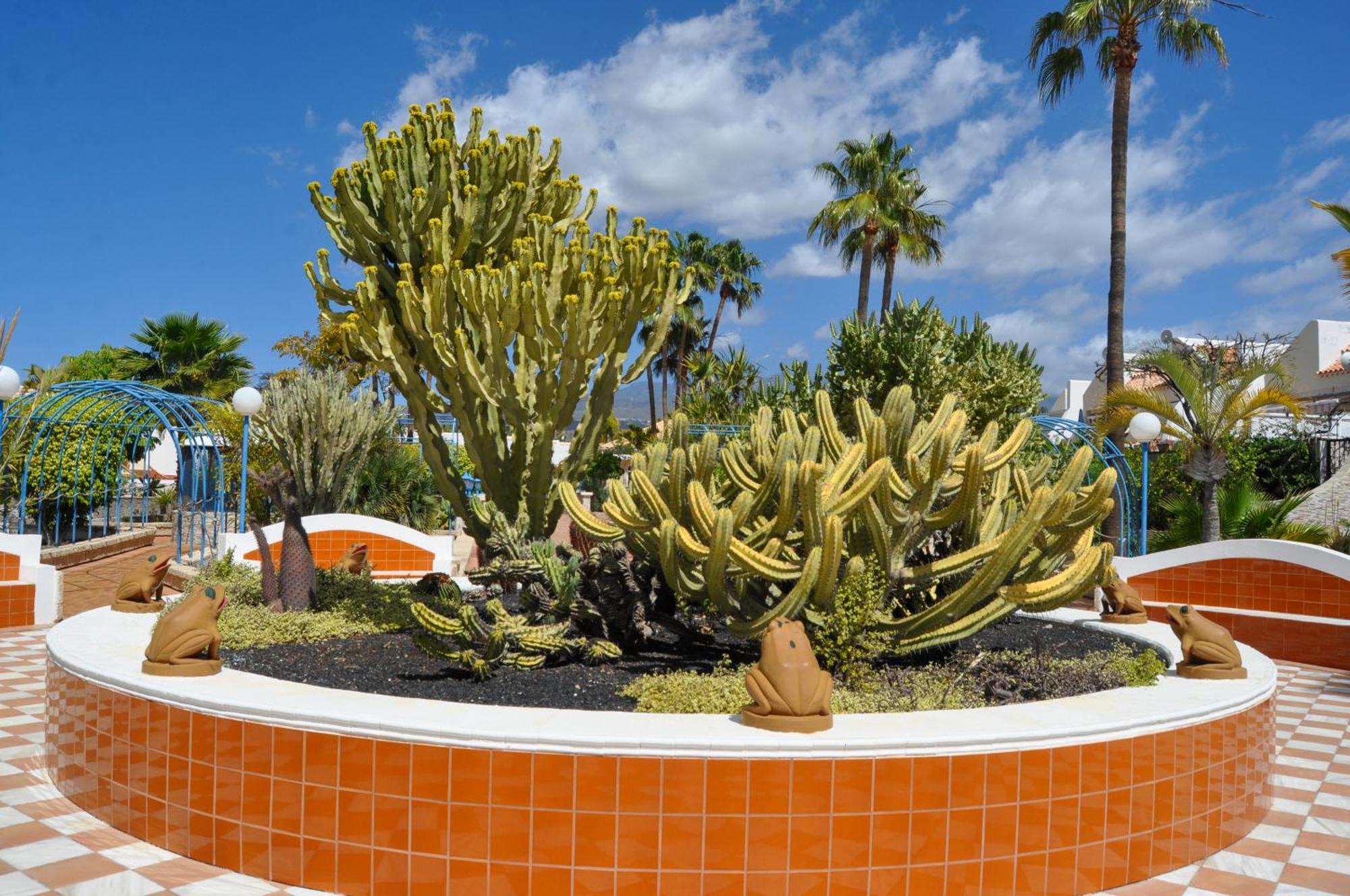 Apartamento The Palms Golf Del Sur - Casa Andromeda *